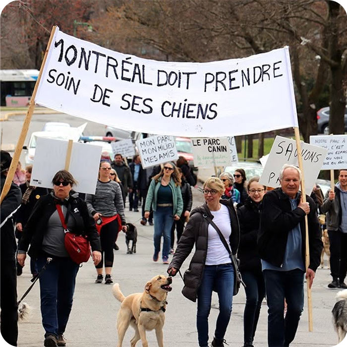 Le parc canin d'Outremont et ses arbres matures