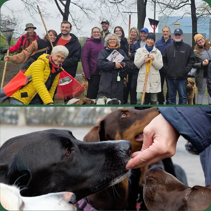Usagers du parc Mali réunis pendant que les chiens jouent