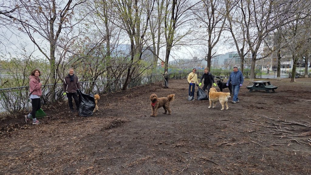 Activite3 - Parc canin d'Outremont (parc Mali)