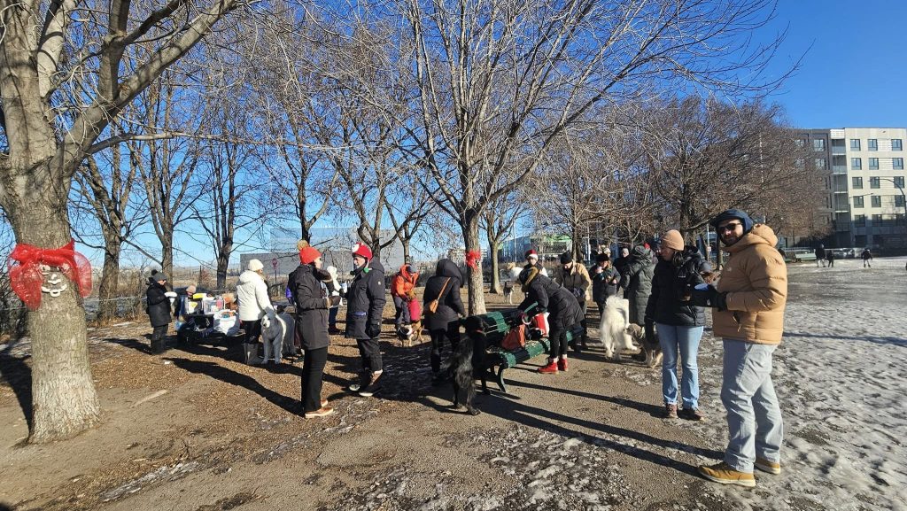 Activite6 - Parc canin d'Outremont (parc Mali)